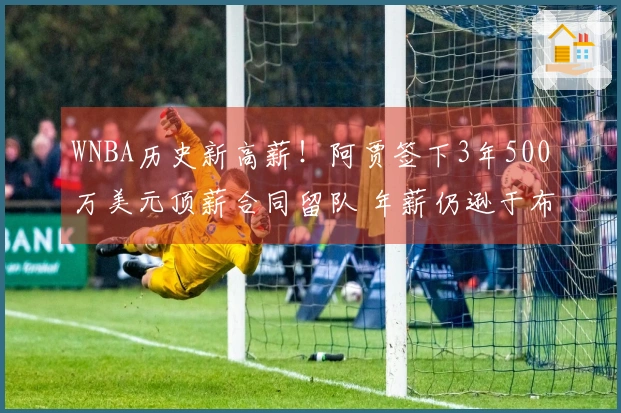 WNBA历史新高薪！阿贾签下3年500万美元顶薪合同留队 年薪仍逊于布朗尼