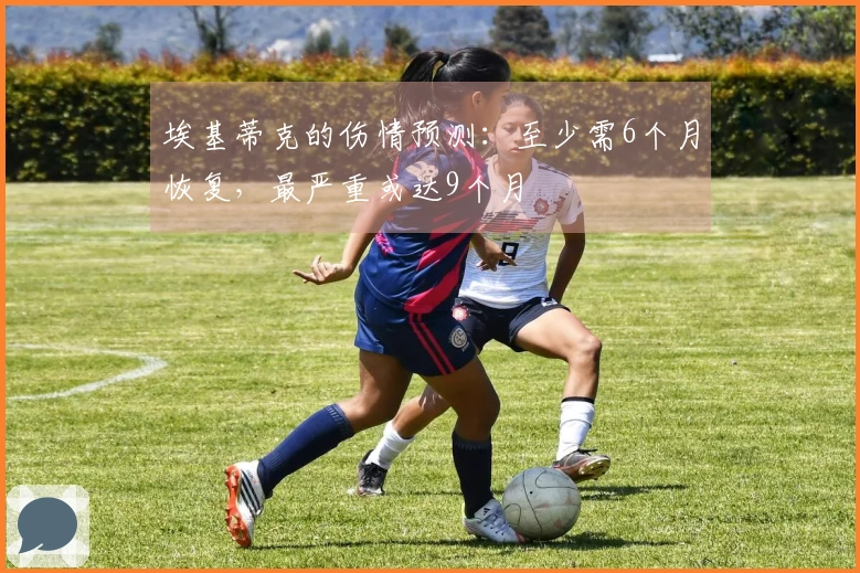 埃基蒂克的伤情预测：至少需6个月恢复，最严重或达9个月